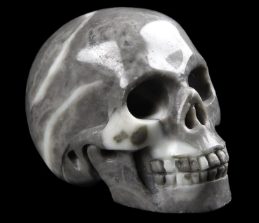 Fossil Stone Skull